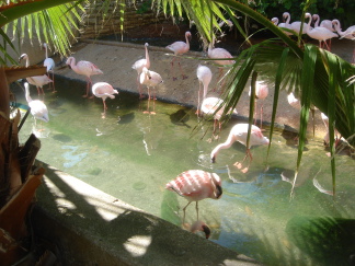 2006-04-08 15-12-20.JPG